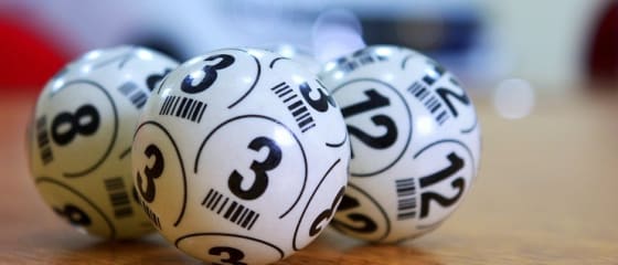 Sveriges finansdepartement utreder politisk lotteriverksamhet